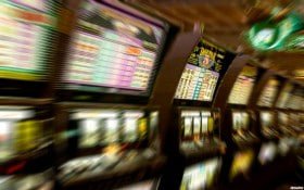 lotosport bet